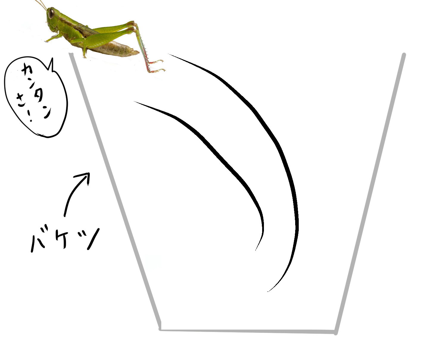 バッタをバケツを飛び越える