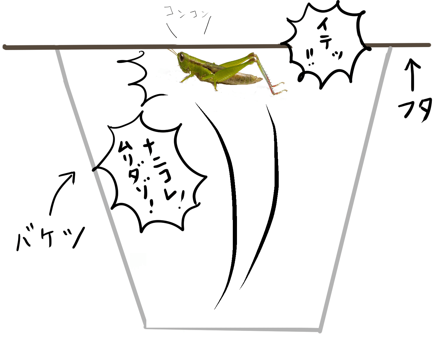 バッタをバケツに入れフタをする