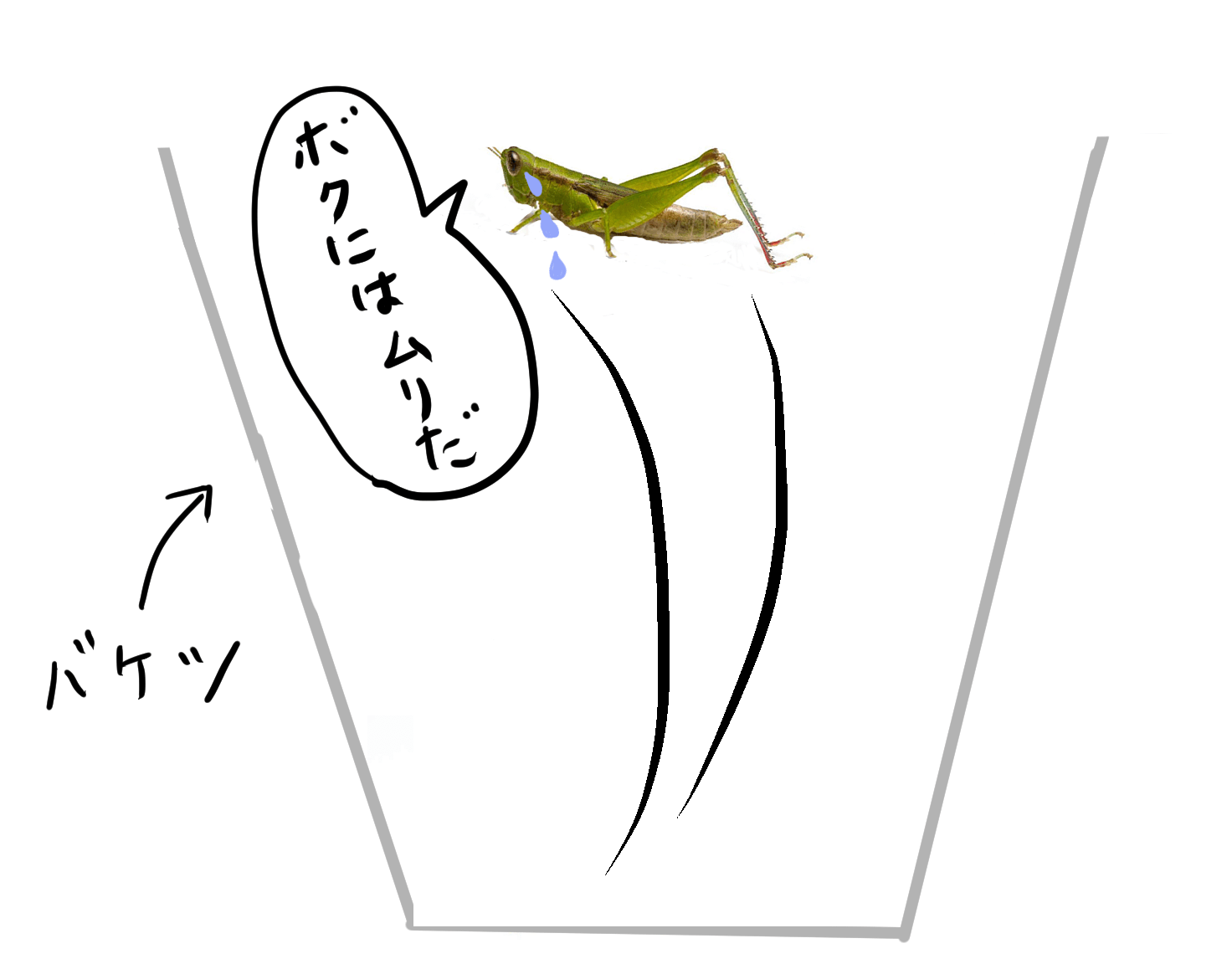 バッタをバケツを飛び越えられない
