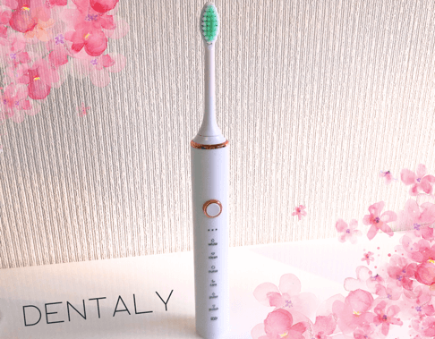 月額330円の電動歯ブラシ（Dentaly）のサブスクで快適な歯みがきタイムを味わってみませんか？