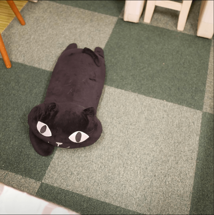 ニセモノのねこ