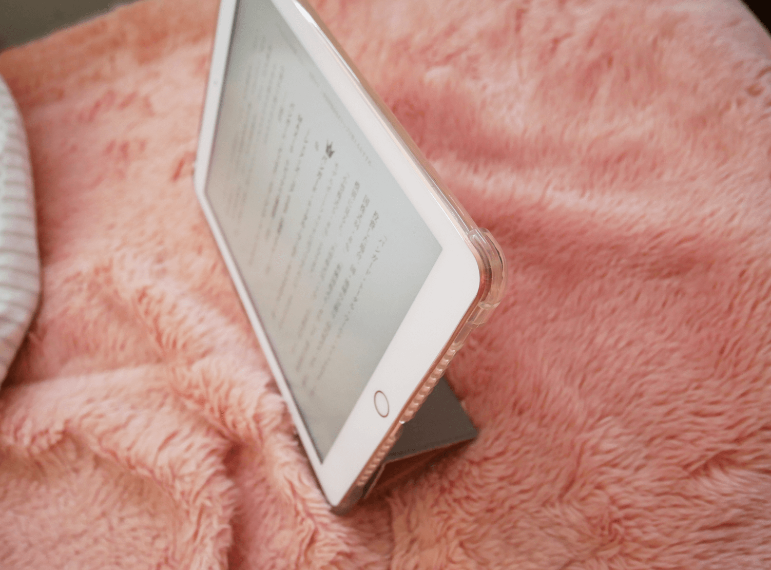 iPad持ってるのにわざわざ買った理由