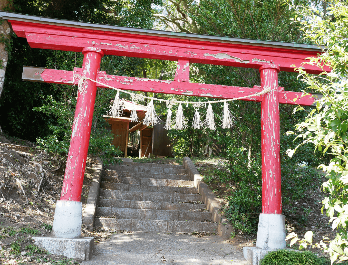 大国主神社鳥居2