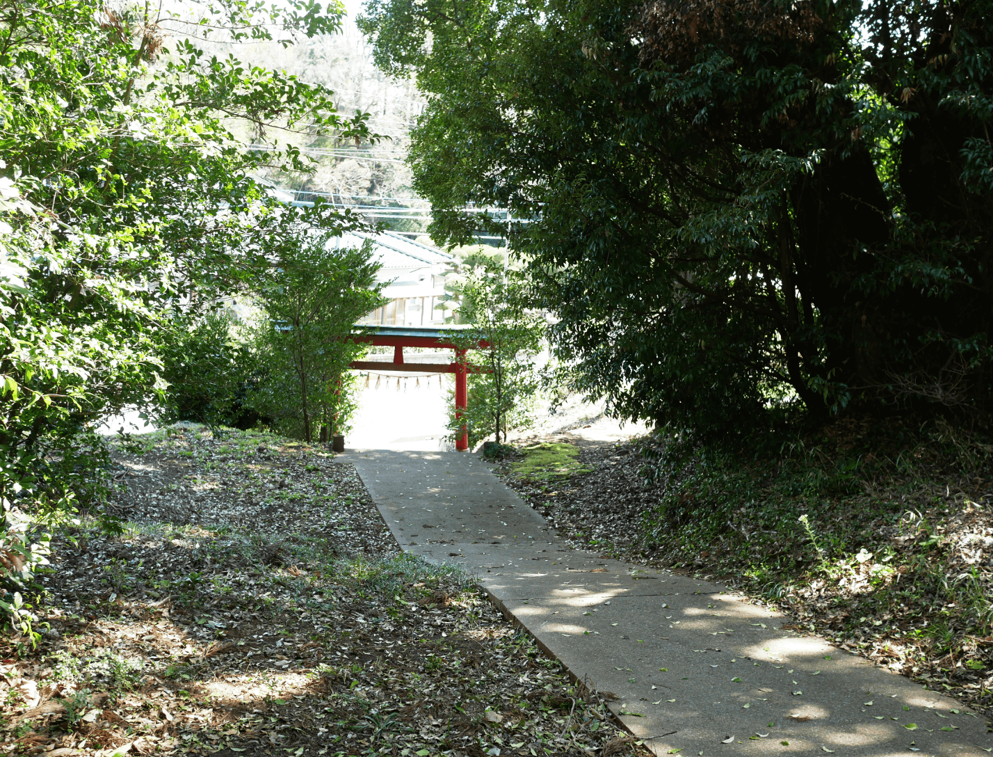 帰ります