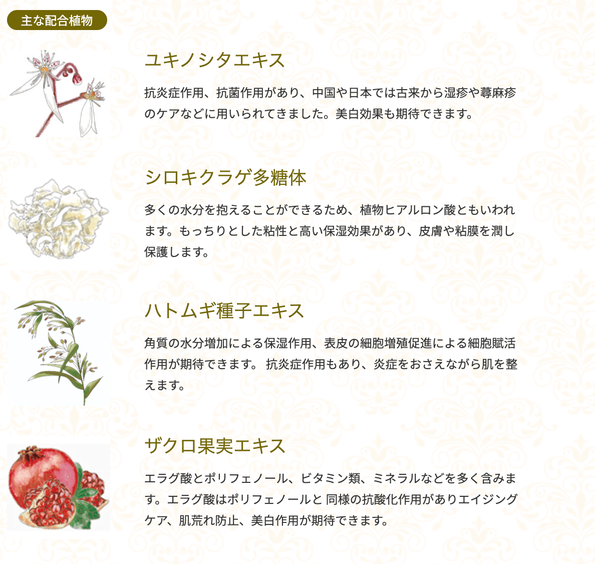 主な使い方と配合成分